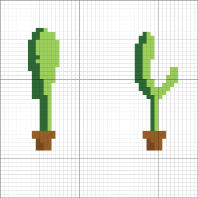 Cacti